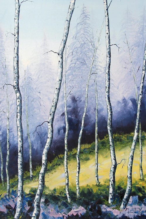 Barely Birch Forest