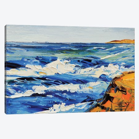 Big Sur Waves Canvas Print #LEL513} by Lisa Elley Canvas Artwork