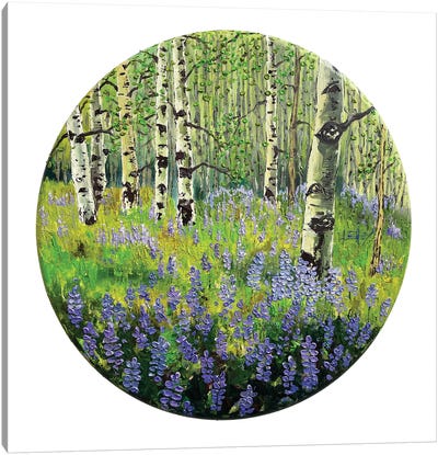 Spring Lupine And Aspens At Lake Tahoe Canvas Art Print - Lupines