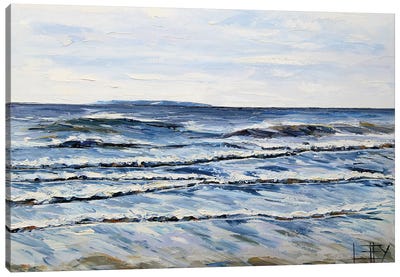 Half Moon Bay Seaside In CA Canvas Art Print - Lisa Elley