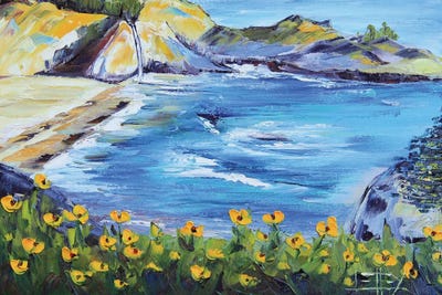 McWay Falls In Julia Pfeiffer State Park, CA by Lisa Elley canvas print