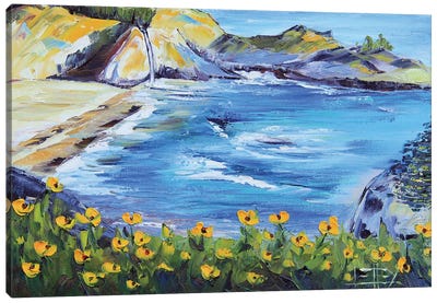 McWay Falls In Julia Pfeiffer State Park, CA Canvas Art Print - Big Sur Art