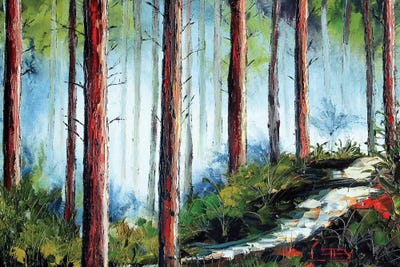 Redwoods by Lisa Elley canvas print