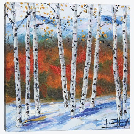 Birches In The Fall Canvas Print #LEL521} by Lisa Elley Art Print