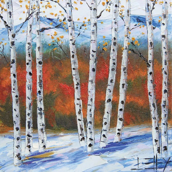Birch Trees: Birches In The Fall by Lisa Elley