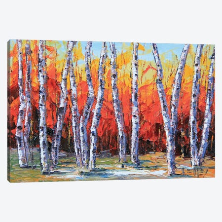 Colorful Autumn Forest Canvas Print #LEL523} by Lisa Elley Art Print