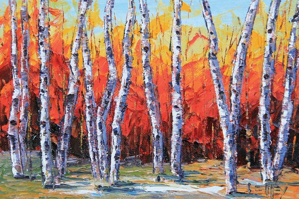 Birch Trees: Colorful Autumn Forest by Lisa Elley