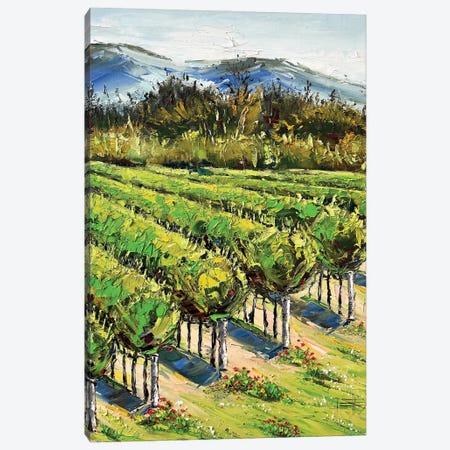 Spring In The Vineyard, Carmel River Valley Winery Canvas Print #LEL527} by Lisa Elley Canvas Artwork