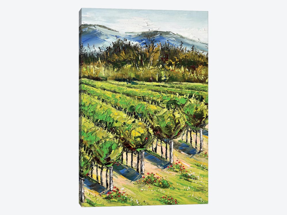 Spring In The Vineyard, Carmel River Valley Winery by Lisa Elley 1-piece Canvas Art