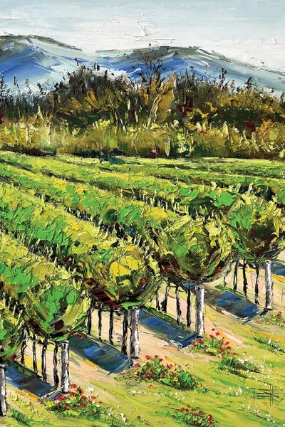 Carmel-By-The-Sea: Spring In The Vineyard, Carmel River Valley Winery by Lisa Elley