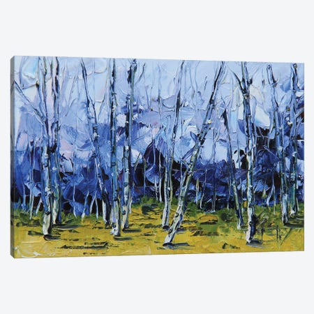 Blue Birch Canvas Print #LEL535} by Lisa Elley Canvas Art Print