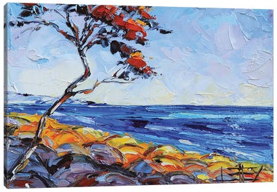 Monterey Cypress Tree At Pebble Beach Golf Course Canvas Art Print - Golf Course Art
