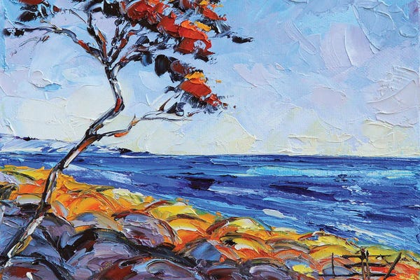 Golf Courses: Monterey Cypress Tree At Pebble Beach Golf Course by Lisa Elley