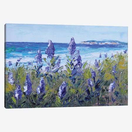 Carmel Beach With Lupine Canvas Print #LEL553} by Lisa Elley Canvas Artwork
