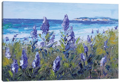 Carmel Beach With Lupine Canvas Art Print - Lisa Elley