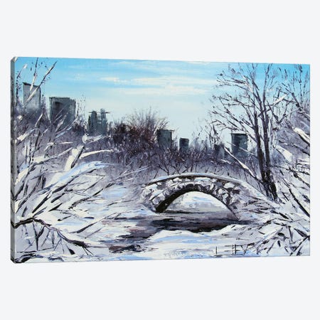 New York Central Park In Winter Canvas Print #LEL554} by Lisa Elley Canvas Print