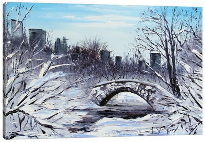 New York Central Park In Winter Canvas Art Print - Central Park