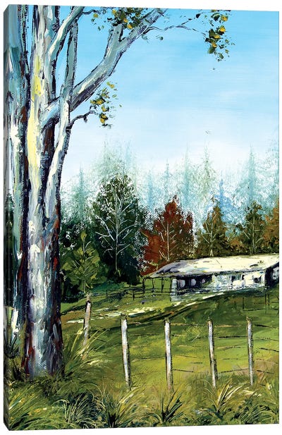 Farm In New Zealand Canvas Art Print - New Zealand Art