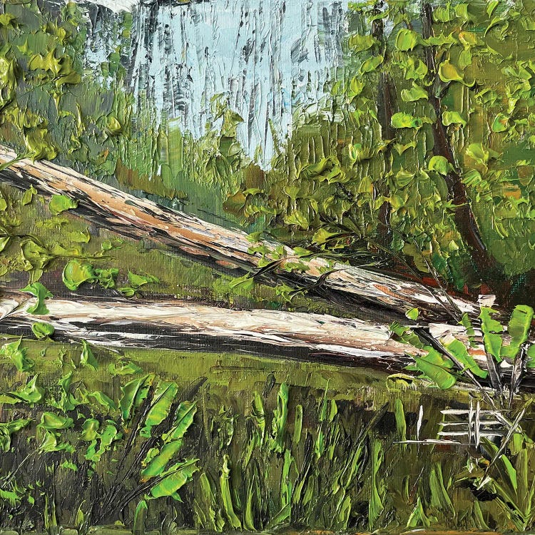 California Giant Sequoia Redwoods by Lisa Elley wall art