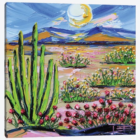 In The Mojave Canvas Print #LEL574} by Lisa Elley Art Print