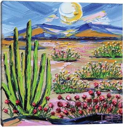 In The Mojave Canvas Art Print - Lisa Elley