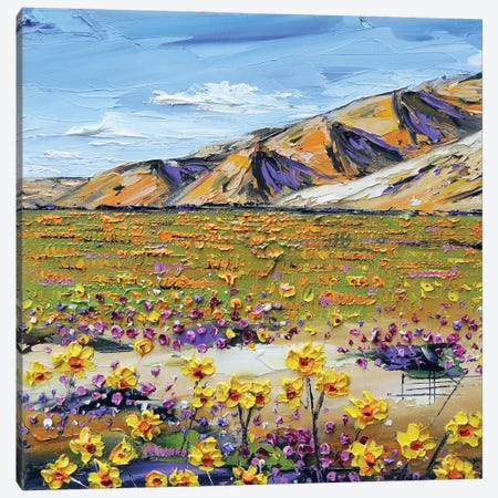Desert Love Canvas Print #LEL583} by Lisa Elley Canvas Print