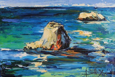 Garrapata State Park In California by Lisa Elley canvas print