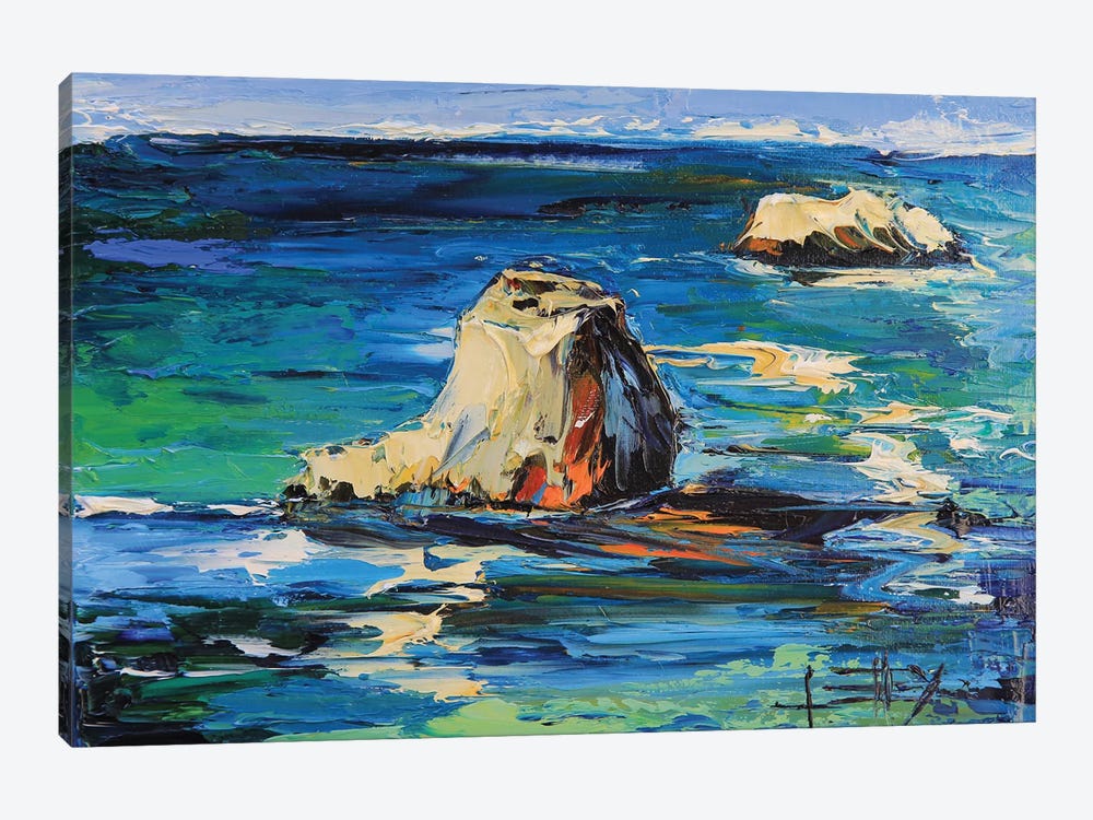 Garrapata State Park In California by Lisa Elley 1-piece Canvas Art Print