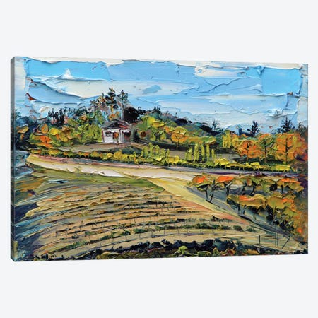 Saratoga Vineyard In The San Francisco Bay Canvas Print #LEL595} by Lisa Elley Art Print