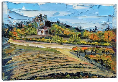 Saratoga Vineyard In The San Francisco Bay Canvas Art Print - Vineyard Art