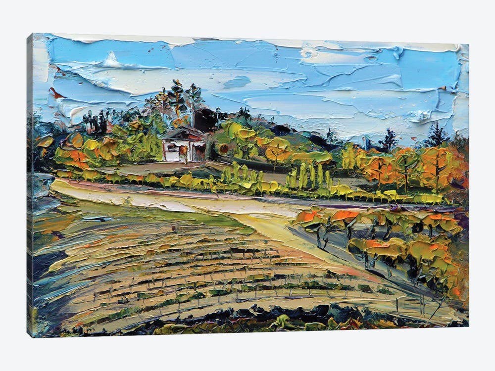Saratoga Vineyard In The San Francisco Bay by Lisa Elley 1-piece Canvas Art Print