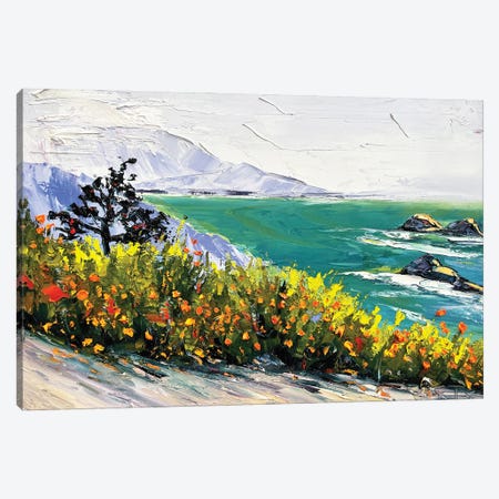 Pacific Morning Walk Canvas Print #LEL597} by Lisa Elley Canvas Art Print
