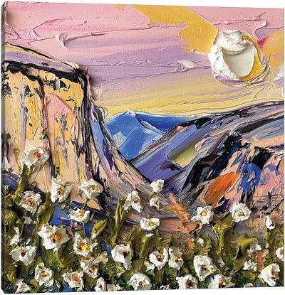 Yosemite Mood Canvas Art Print - Lisa Elley