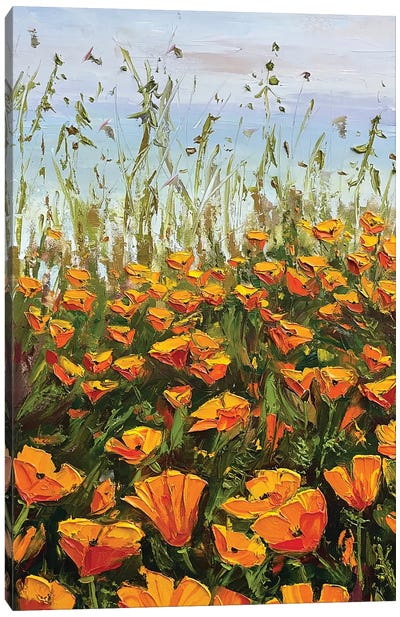 Poetic Poppies I Canvas Art Print - Lisa Elley
