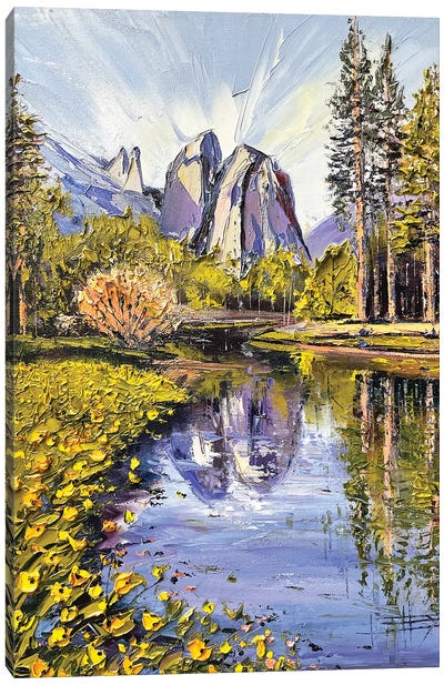 Yosemite View Canvas Art Print - Mountain Art