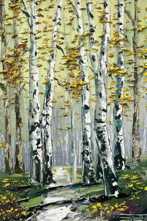 Golden Fall Birch Trees
