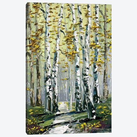 Golden Fall Birch Trees Canvas Print #LEL633} by Lisa Elley Art Print