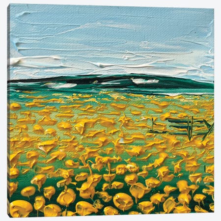 Field Of Sunflowers Canvas Print #LEL636} by Lisa Elley Canvas Art
