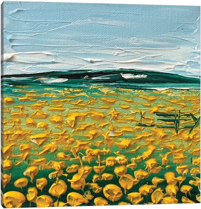 Field Of Sunflowers Canvas Art Print - Lisa Elley