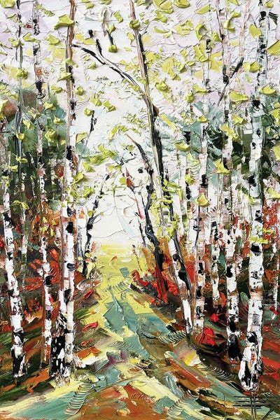 Birch Trees: Elusive Fall by Lisa Elley
