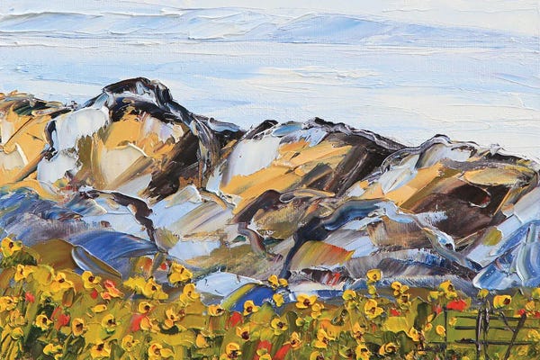 Santa Cruz: Santa Cruz Fog by Lisa Elley