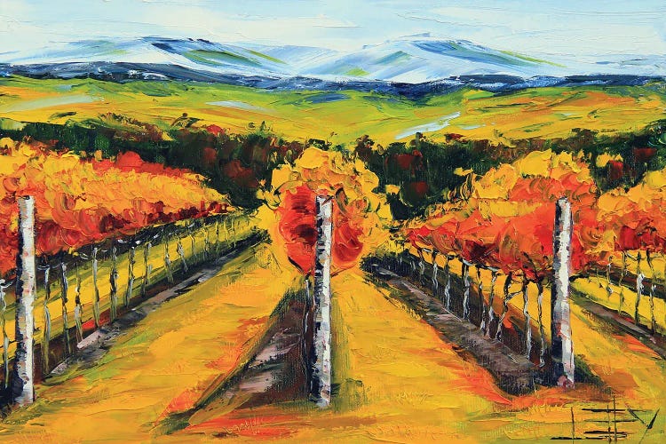 Golden Napa Dusk