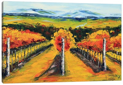 Golden Napa Dusk Canvas Art Print - Napa Valley