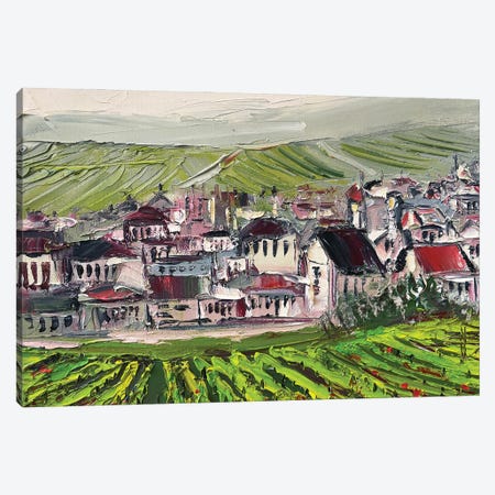 Village With Vineyards In Provence, France In The Autumn Canvas Print #LEL647} by Lisa Elley Canvas Print