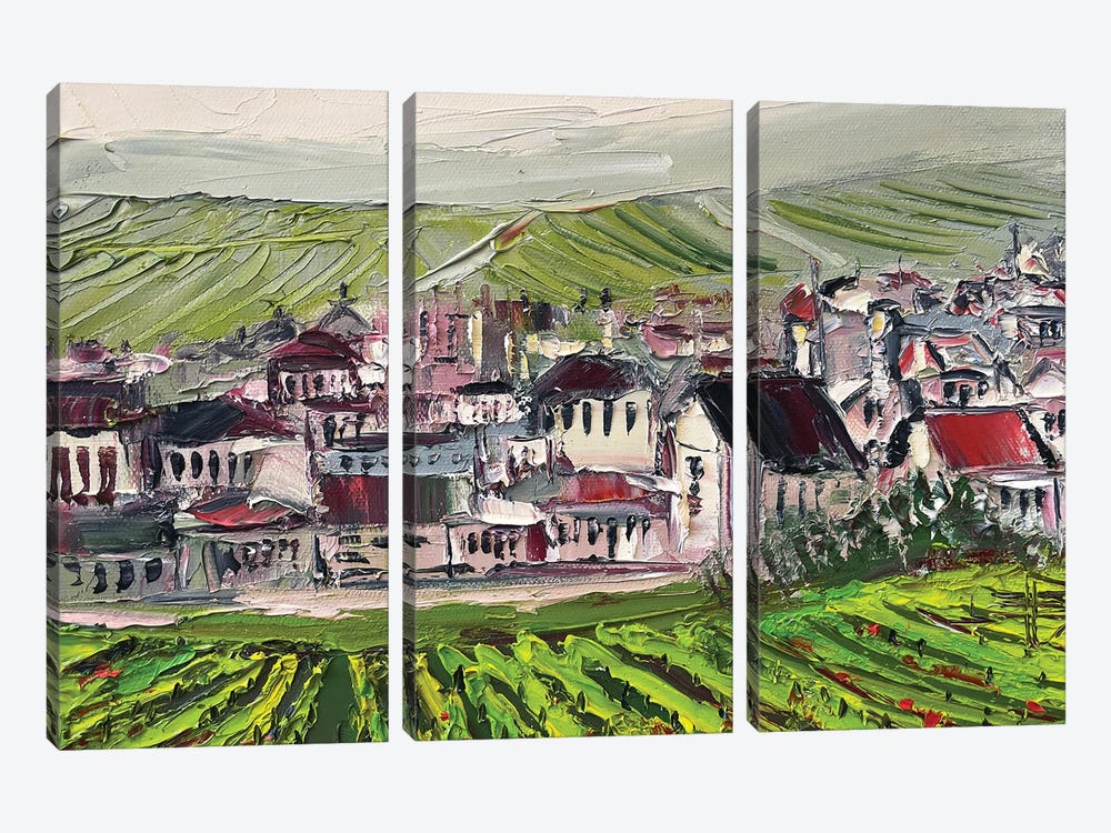 Village With Vineyards In Provence, France In The Autumn by Lisa Elley 3-piece Canvas Artwork