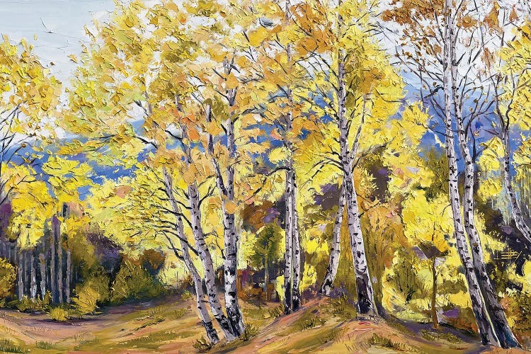 Aspens Of Autumn