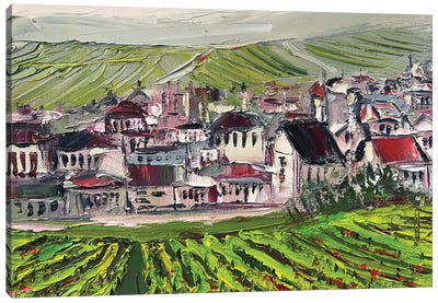 Autumn Vineyards In A Provence Village In France Canvas Art Print - Vineyard Art