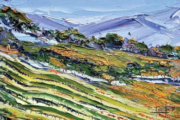 Vineyards: Another Day In Wine Country by Lisa Elley