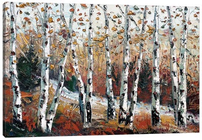 Enlightened Fall Canvas Art Print - Birch Tree Art