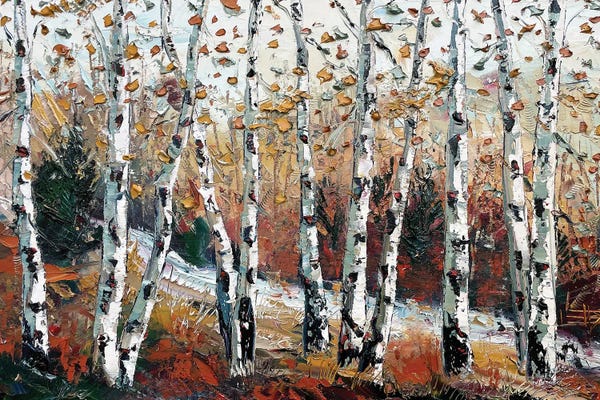 Birch Trees: Enlightened Fall by Lisa Elley
